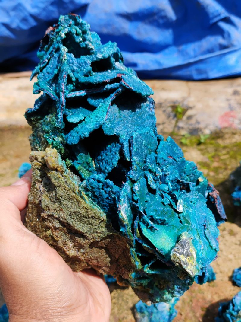 Mineral Specimen Crysocolla - Image 4
