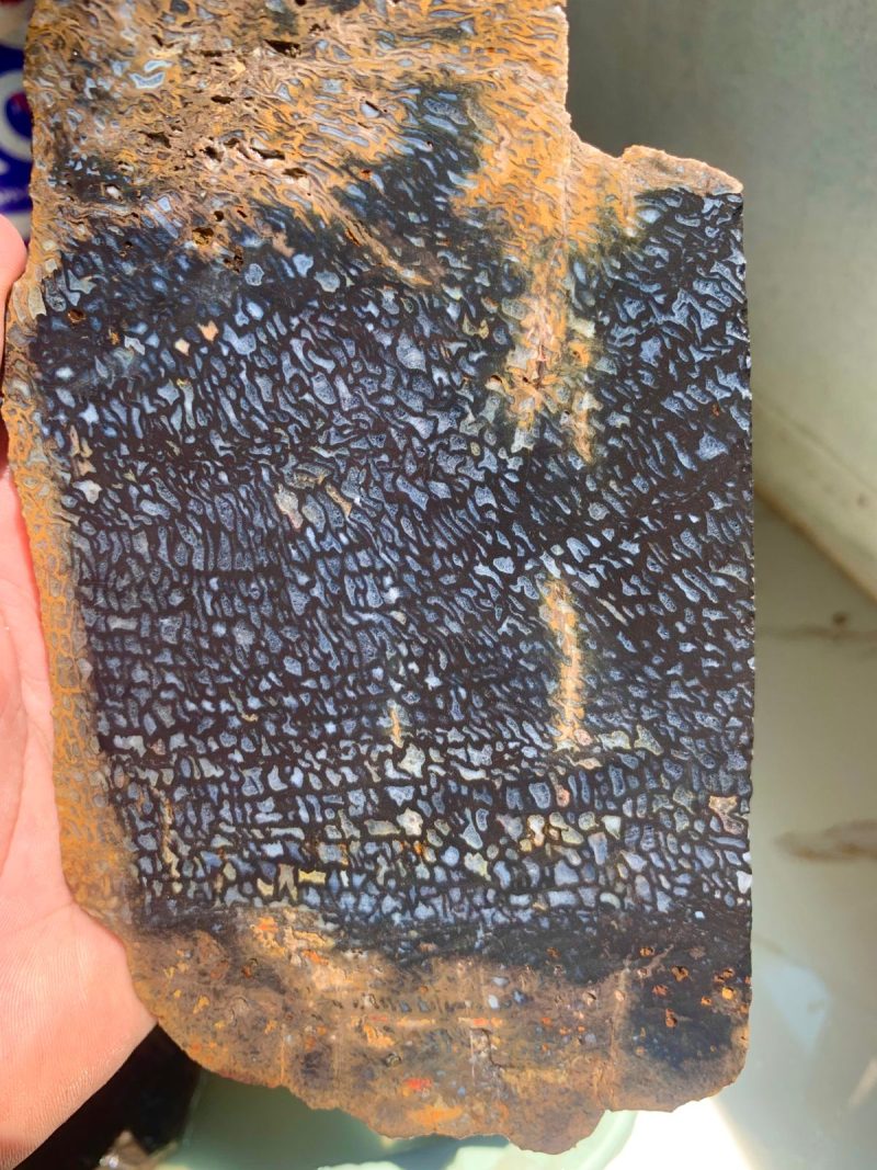 Indonesian Plam Wood - Image 3