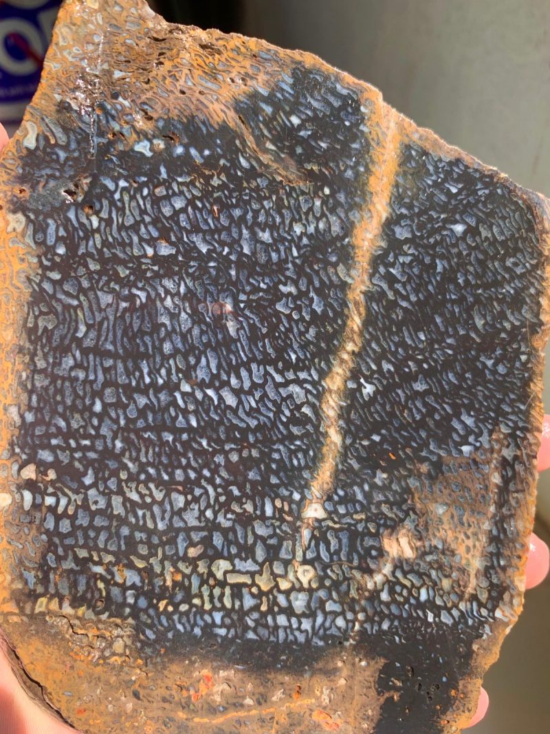 Indonesian Plam Wood - Image 2