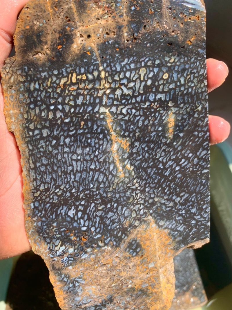 Indonesian Plam Wood - Image 4