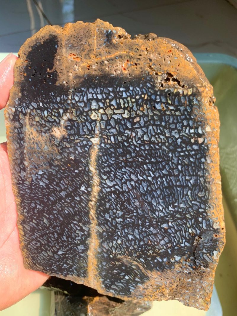Indonesian Plam Wood - Image 5