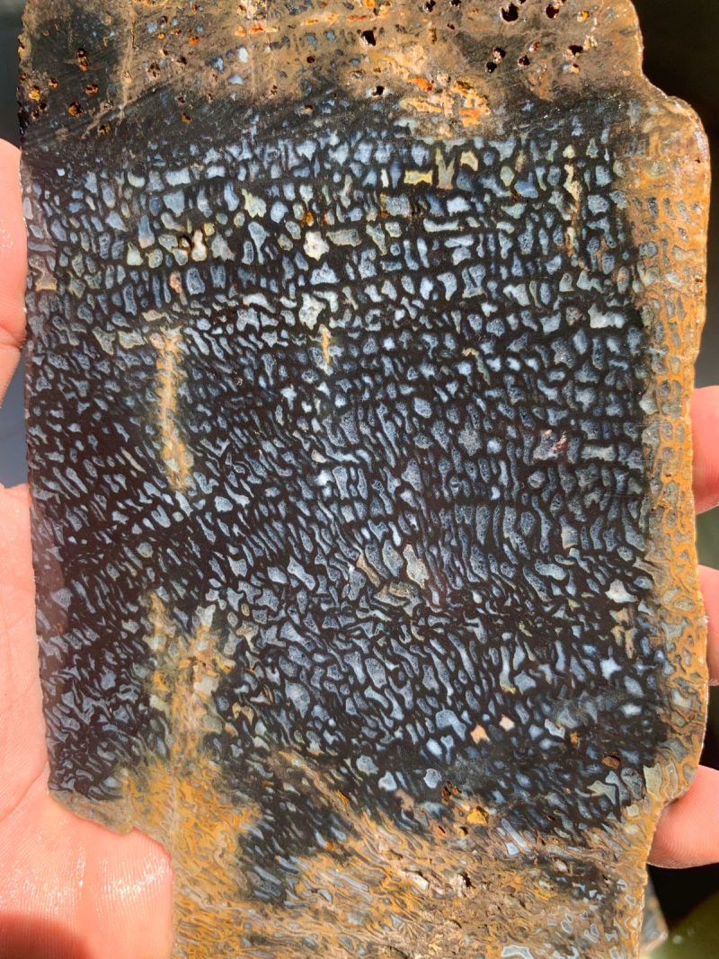 Indonesian Plam Wood - Image 7